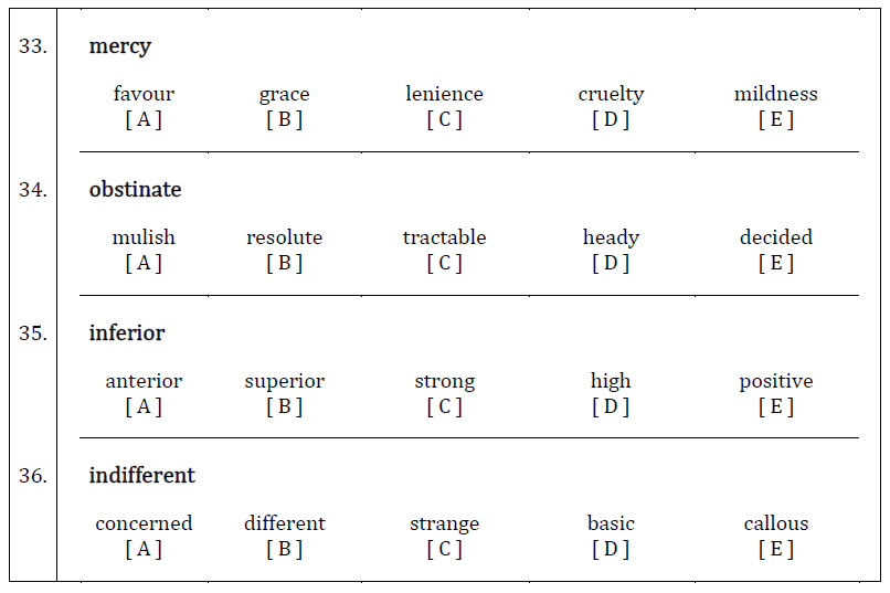 11 Plus Synonyms and Antonyms Worksheets