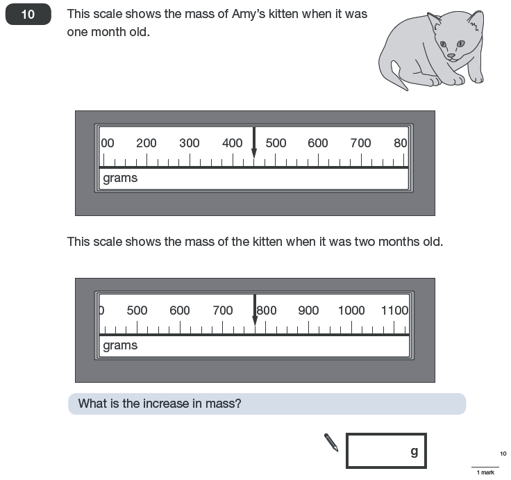 Question 10 Maths KS2 SATs Papers 2010 - Year 6 Sample Paper 2, Measurement, Scale reading