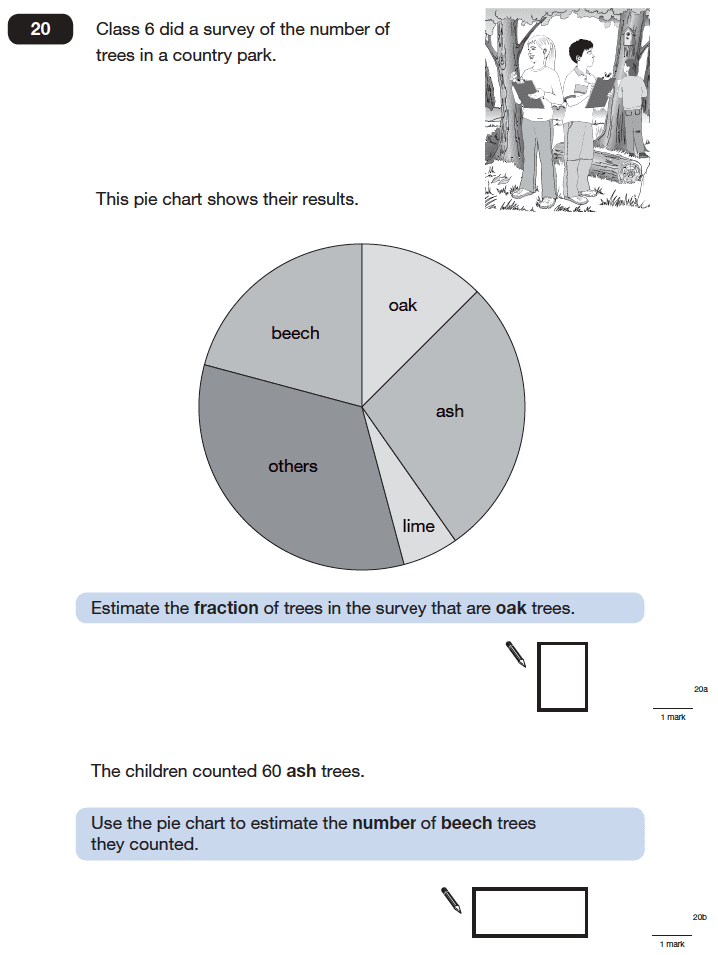 Question 20 Maths KS2 SATs Papers 2006 - Year 6 Exam Paper 1, Numbers, Fractions, Geometry, Angles, Statistics, Pie chart