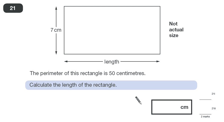 Question 21 Maths KS2 SATs Papers 2010 - Year 6 Practice Paper 1, Geometry, Area & Perimeter, Rectangle