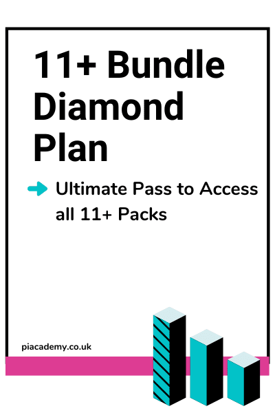 11 Plus Bundle Diamond Plan - All Access Pass