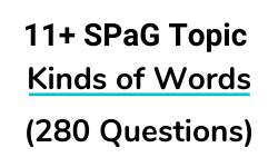 11 Plus SPaG Kinds of Words Topic