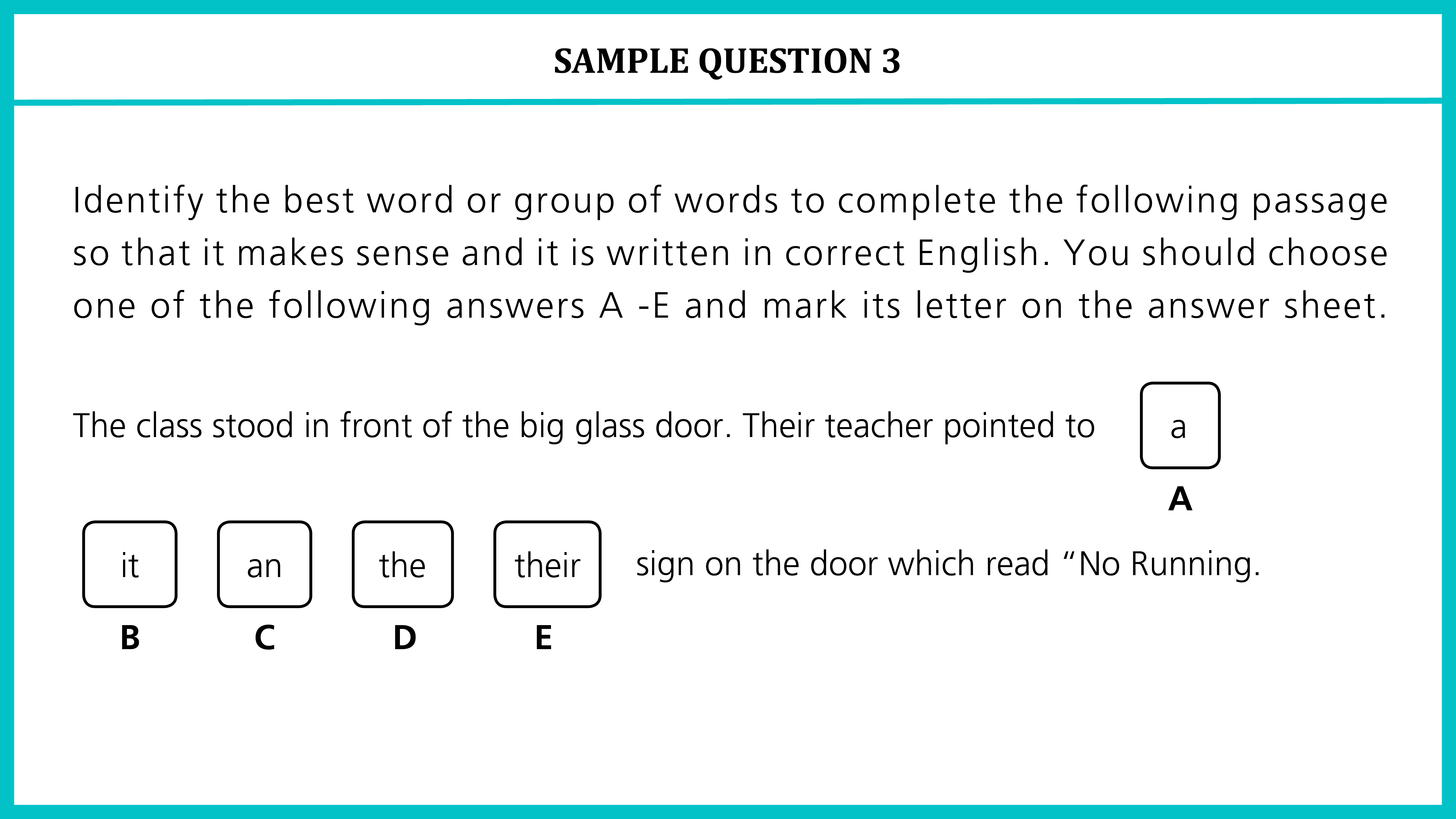 11+ GL Article English Sample Question 03
