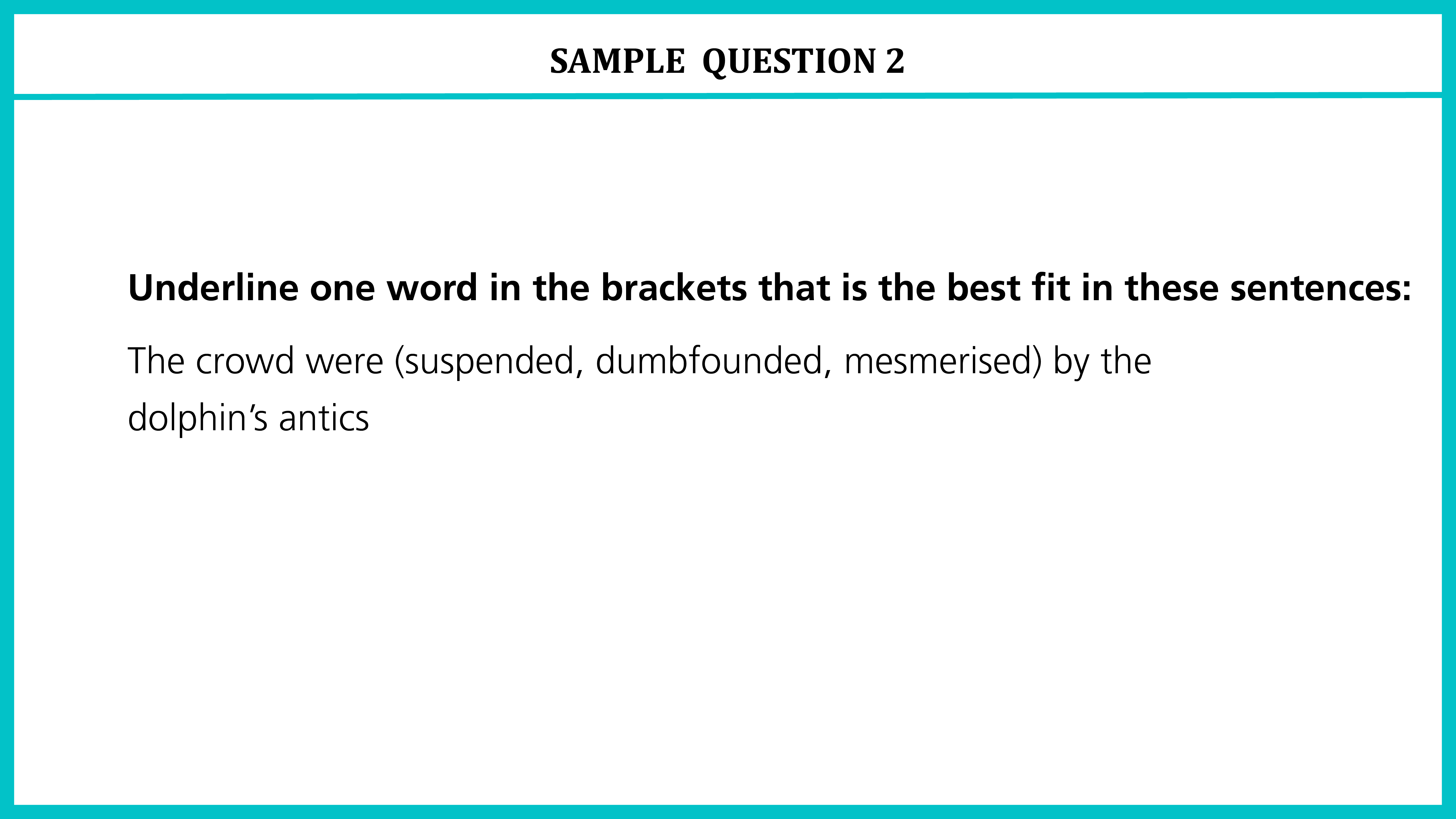 11-Plus-CEM-English-Sample-Question-03