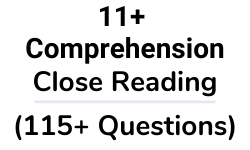 11 Plus Comprehension Close Reading Test Paper Questions