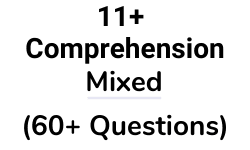 11 Plus Comprehension Mixed Test Paper Questions