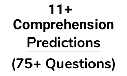11 Plus Comprehension Predictions Test Paper Questions
