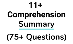 11 Plus Comprehension Summary Test Paper Questions
