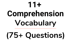 11 Plus Comprehension Vocabulary Test Paper Questions