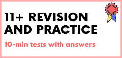 11 Plus Exam Revision and Practice Menu