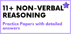 11 Plus Non-verbal Reasoning Practice Papers with Answers Menu