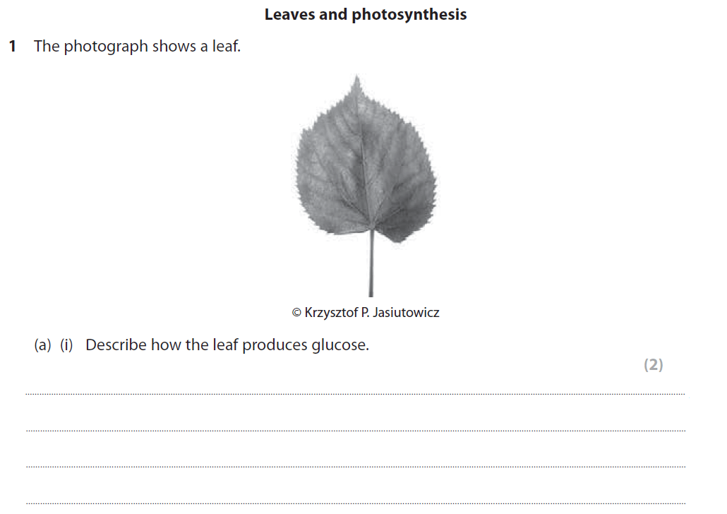 Edexcel GCSE June 2017 Foundation Biology Past Paper 2 Questions And ...