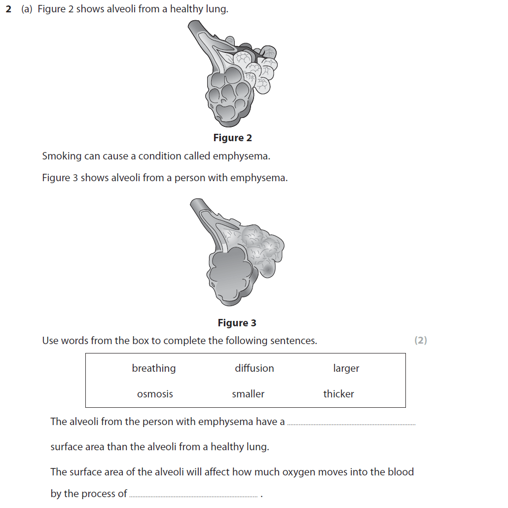 Edexcel GCSE June 2018 Foundation Biology Past Paper 2 Questions And ...