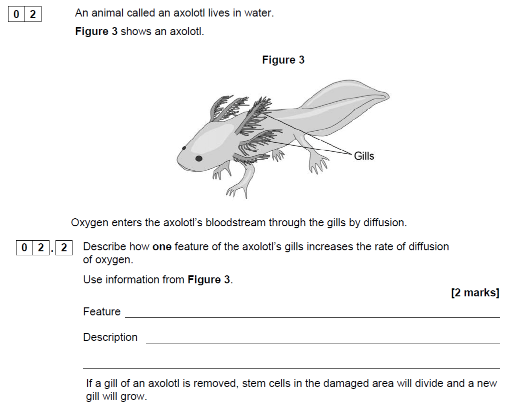 AQA GCSE June 2019 Foundation Biology Past Paper 1 Questions And ...