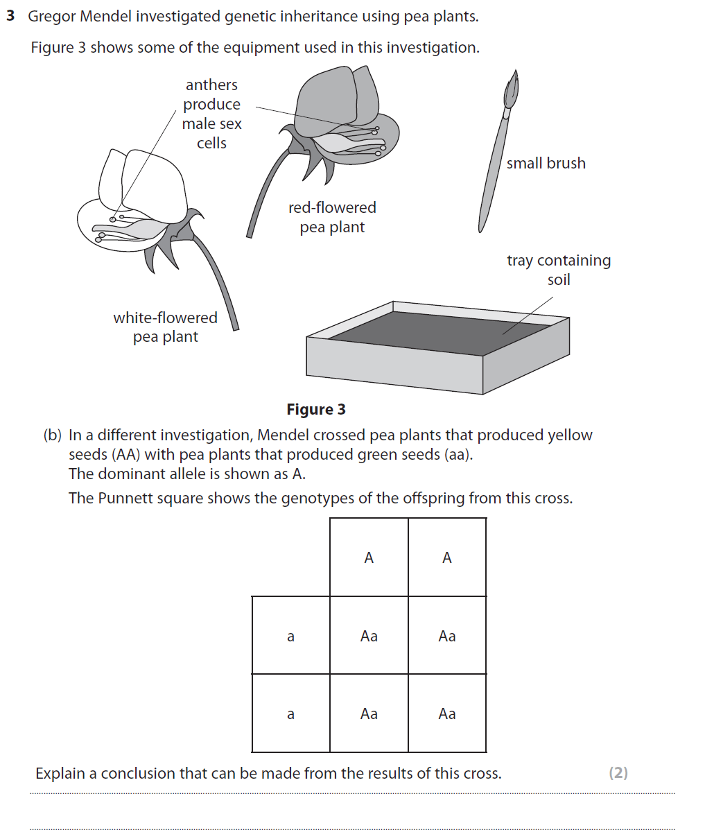 Edexcel gcse june 2018 foundation biology past paper 1 questions and