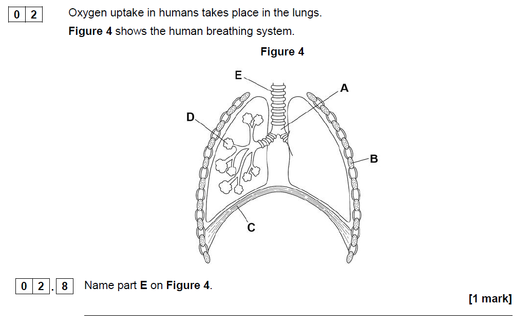 AQA GCSE June 2019 Foundation Biology Past Paper 1 Questions and ...