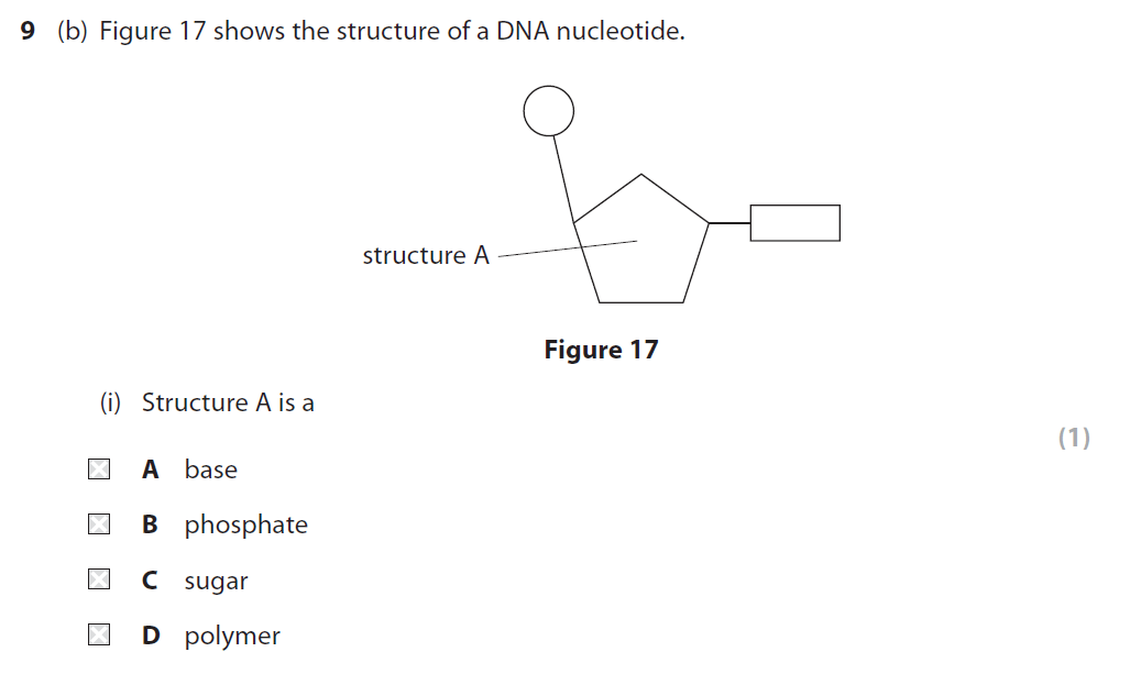 Edexcel GCSE June 2018 Higher Biology Past Paper 1 Questions And ...