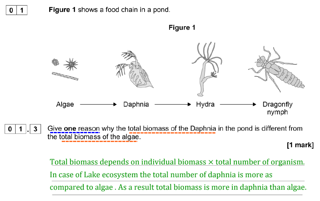 AQA GCSE June 2019 Higher Biology Past Paper 2 Questions And Answers ...