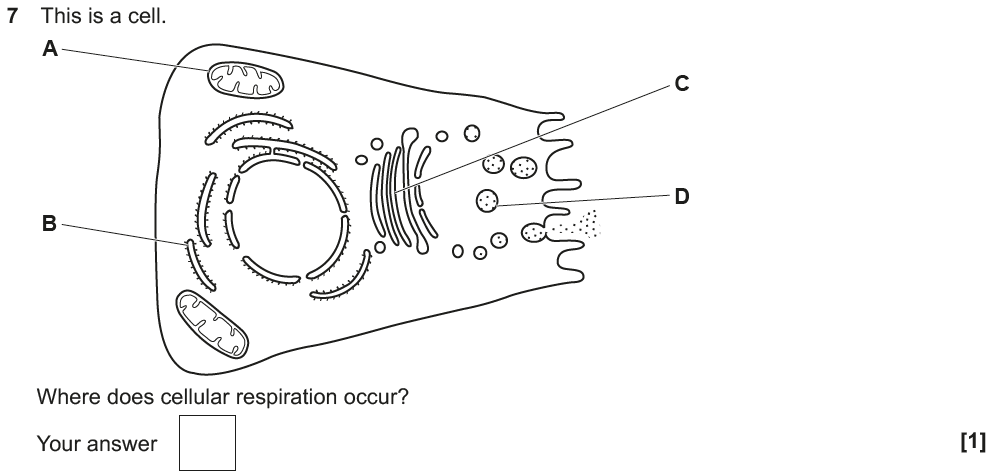 OCR GCSE June 2018 Higher Biology Past Paper 3 Questions and Answers ...