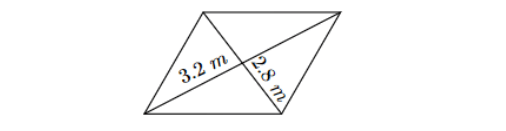 11+ Topicwise Rhombus Article Quiz Image 3