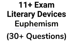 11 Plus Literary Devices Euphemism Questions Card