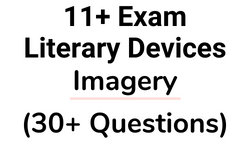 11 Plus Literary Devices Imagery Questions Card