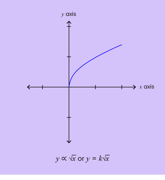 04. Proportion and Graphs